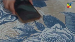 Mere Damad - Episode 29